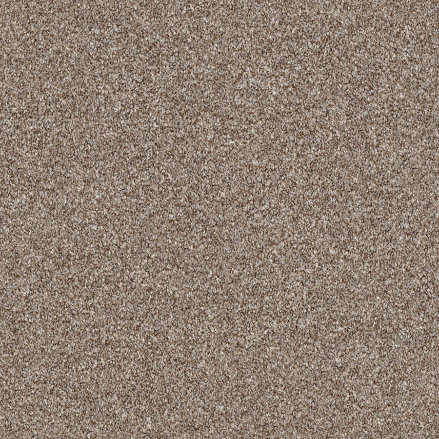 Shaw Floors - Carpet - Simply the Best Values Collection - Make It Mine II - 12' - Fox Hollow
