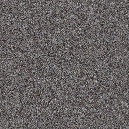 Shaw Floors - Carpet - Simply the Best Values Collection - Make It Mine II - 12' - Mocha