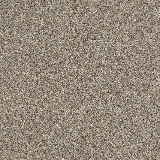 Shaw Floors - Carpet - Simply the Best Values Collection - After It II - 12' - Pebble Walk