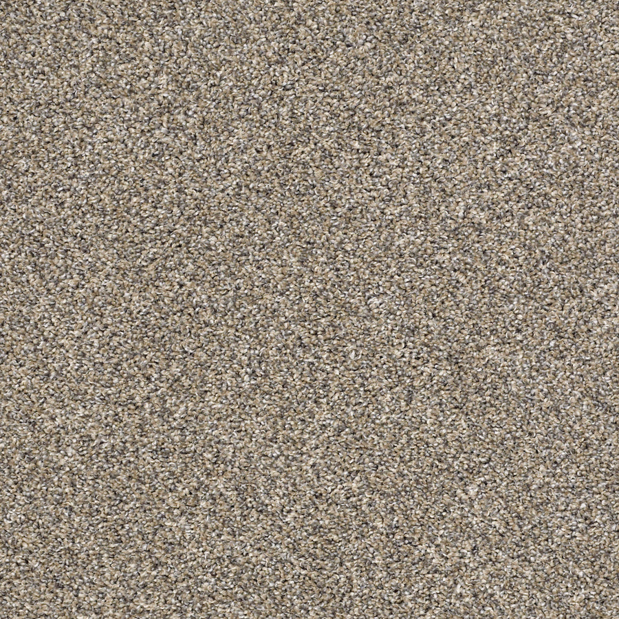 Shaw Floors - Carpet - Simply the Best Values Collection - After It II - 12' - Pebble Walk