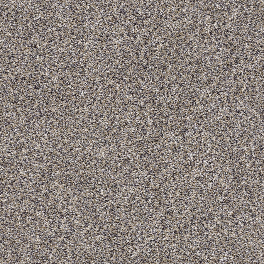 Shaw Floors - Carpet - Simply the Best Values Collection - After It II - 12' - Reflection