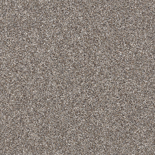 Shaw Floors - Carpet - Simply the Best Values Collection - After It II - 12' - Tree House