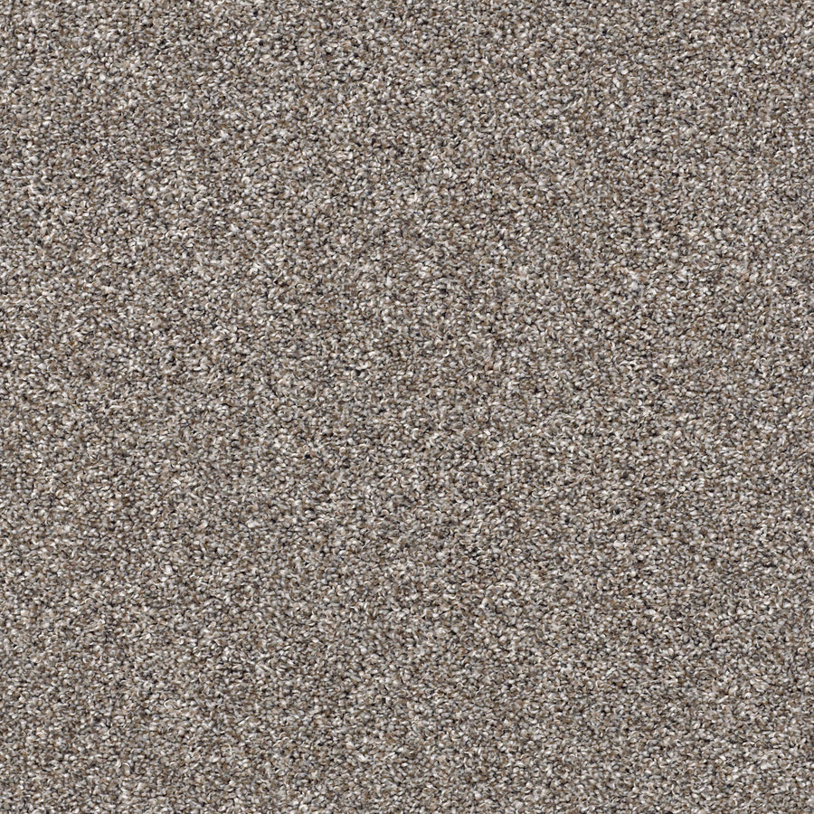 Shaw Floors - Carpet - Simply the Best Values Collection - After It II - 12' - Tree House