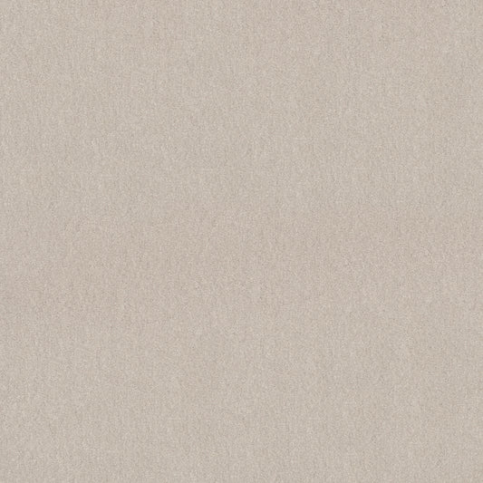 Shaw Floors - Carpet - Simply the Best Values Collection - Solidify III 12' - 12' - Minimalist