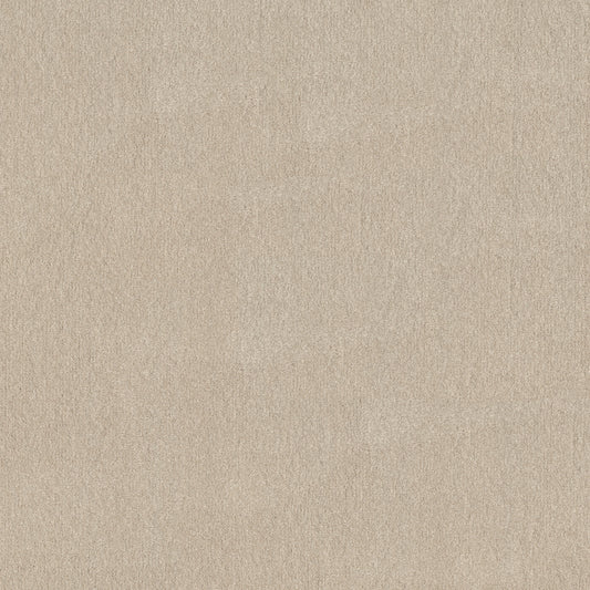 Shaw Floors - Carpet - Simply the Best Values Collection - Solidify III 12' - 12' - Bleached