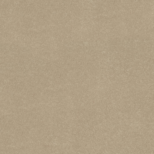 Shaw Floors - Carpet - Simply the Best Values Collection - Solidify III 12' - 12' - Raw Lumber