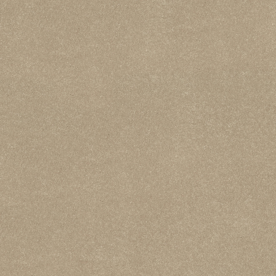 Shaw Floors - Carpet - Simply the Best Values Collection - Solidify III 12' - 12' - Raw Lumber