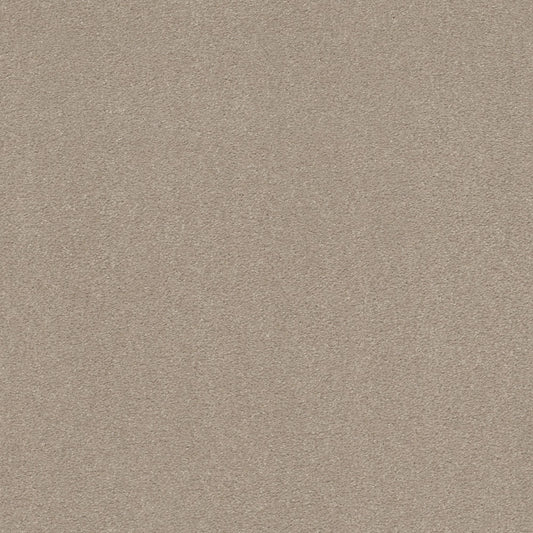 Shaw Floors - Carpet - Simply the Best Values Collection - Solidify III 12' - 12' - Dreamy