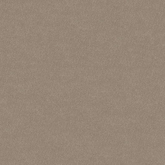 Shaw Floors - Carpet - Simply the Best Values Collection - Solidify III 12' - 12' - Natural Contour