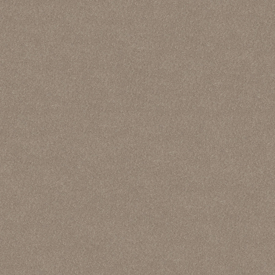 Shaw Floors - Carpet - Simply the Best Values Collection - Solidify III 12' - 12' - Natural Contour