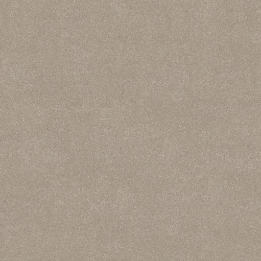 Shaw Floors - Carpet - Simply the Best Values Collection - Solidify III 12' - 12' - Greige