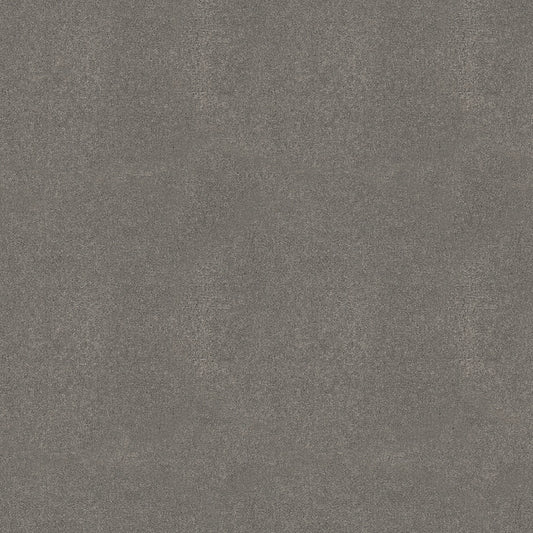 Shaw Floors - Carpet - Simply the Best Values Collection - Solidify III 12' - 12' - Concrete