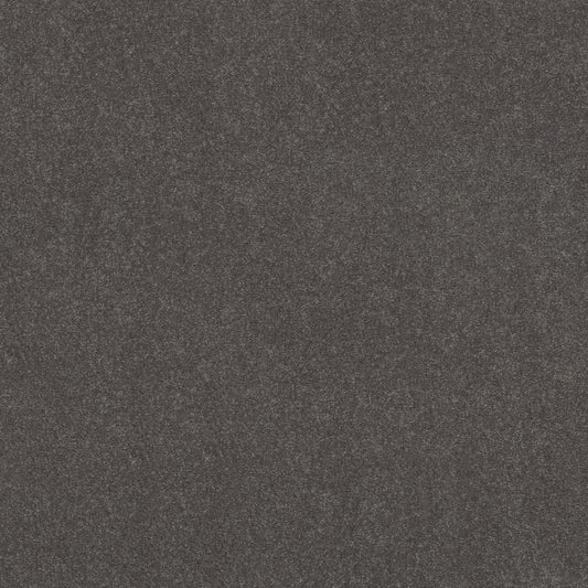 Shaw Floors - Carpet - Simply the Best Values Collection - Solidify III 12' - 12' - Iron