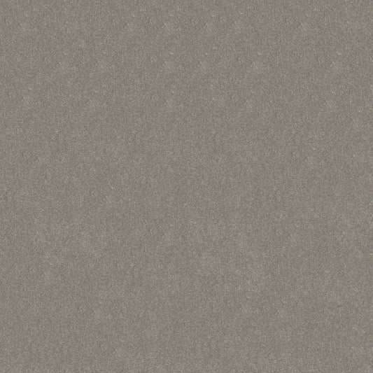 Shaw Floors - Carpet - Simply the Best Values Collection - Solidify III 12' - 12' - Taupe Stone