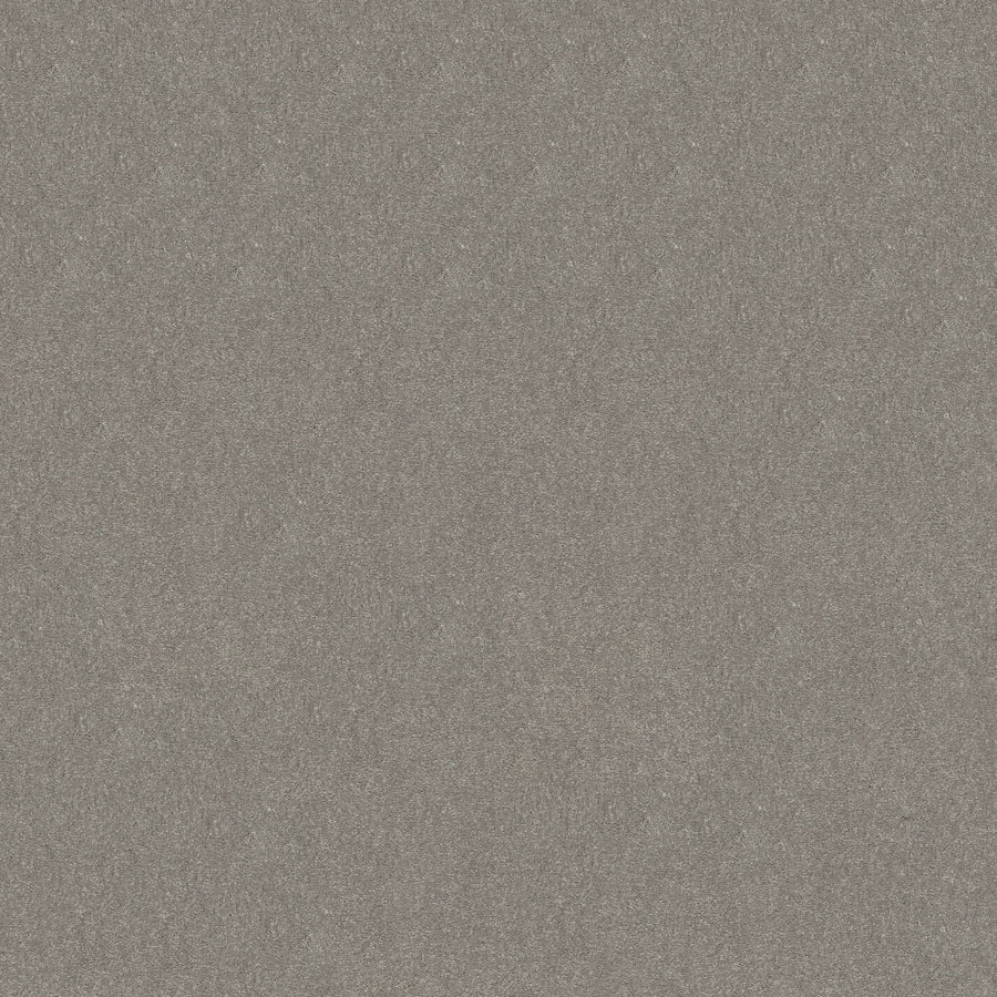 Shaw Floors - Carpet - Simply the Best Values Collection - Solidify III 12' - 12' - Taupe Stone