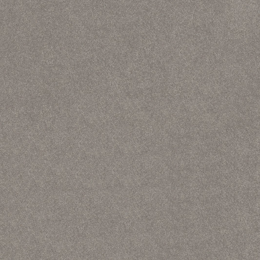 Shaw Floors - Carpet - Simply the Best Values Collection - Solidify III 12' - 12' - Dusty Trail