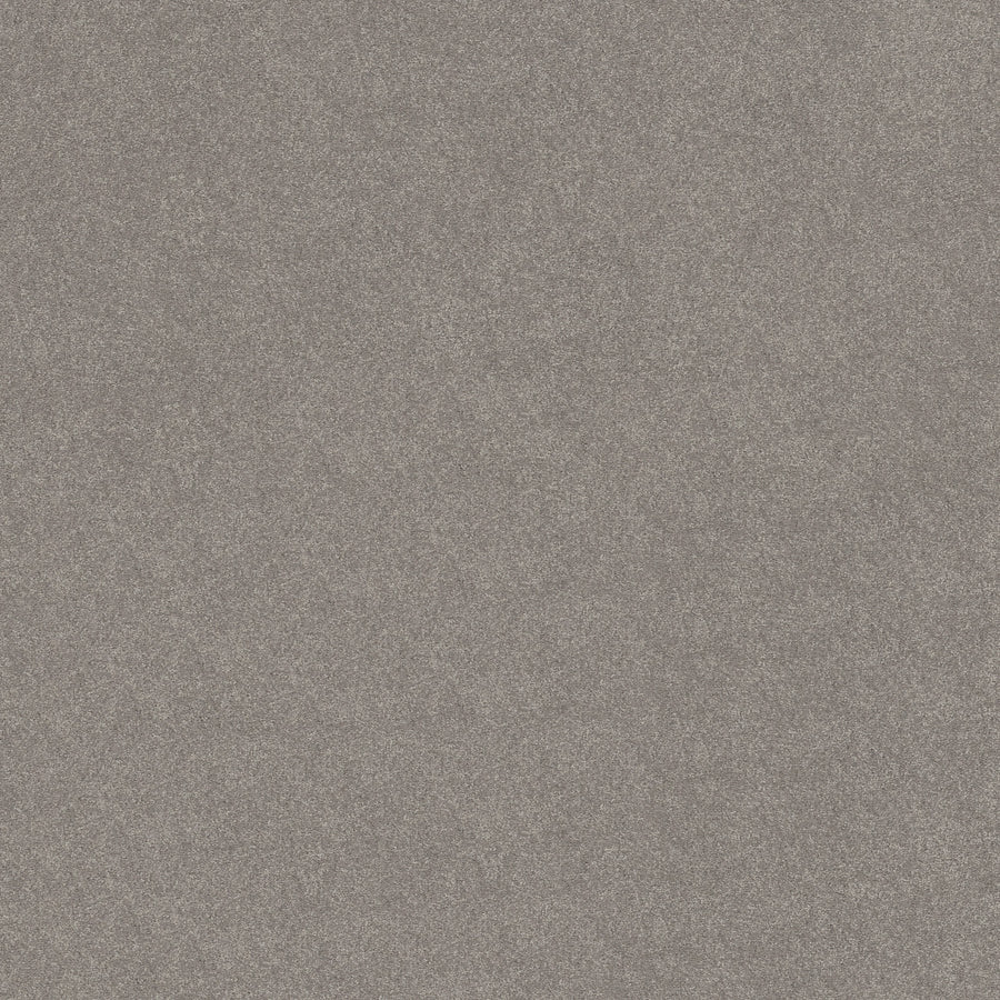 Shaw Floors - Carpet - Simply the Best Values Collection - Solidify III 12' - 12' - Dusty Trail