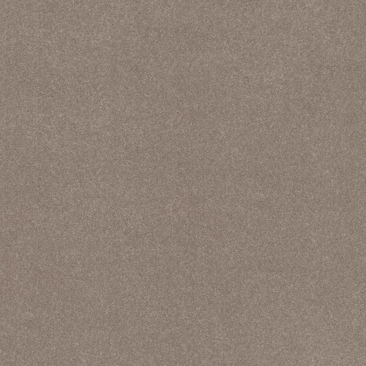 Shaw Floors - Carpet - Simply the Best Values Collection - Solidify III 12' - 12' - Tree Bark