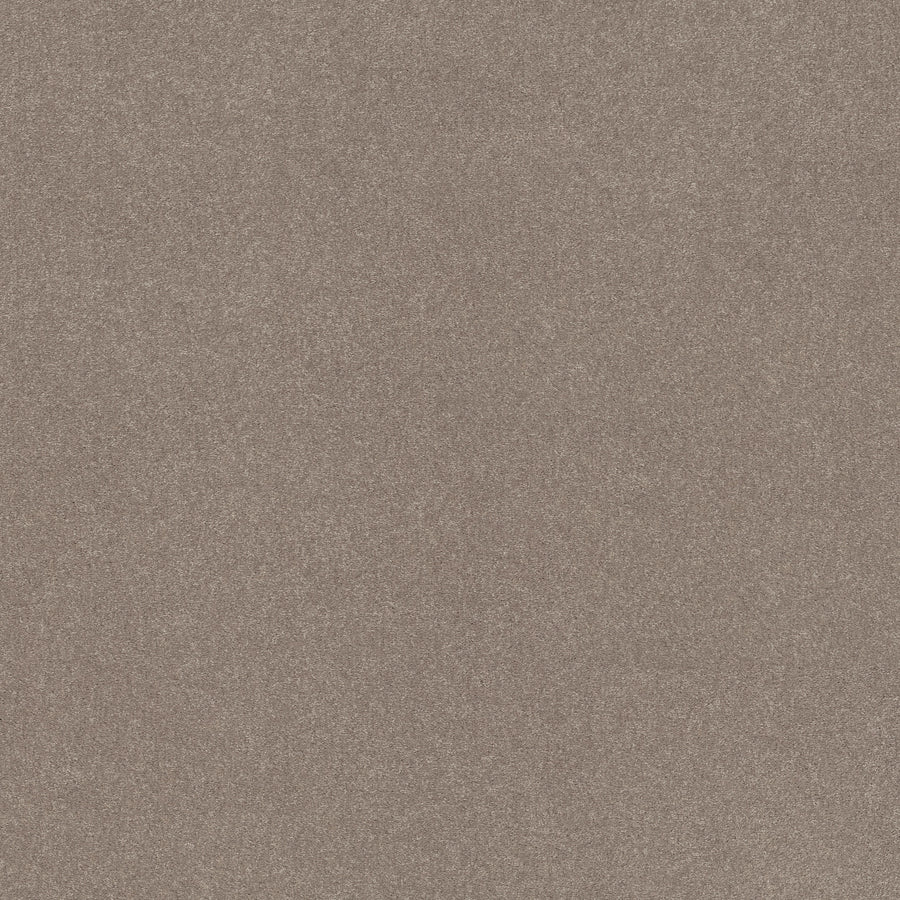 Shaw Floors - Carpet - Simply the Best Values Collection - Solidify III 12' - 12' - Tree Bark