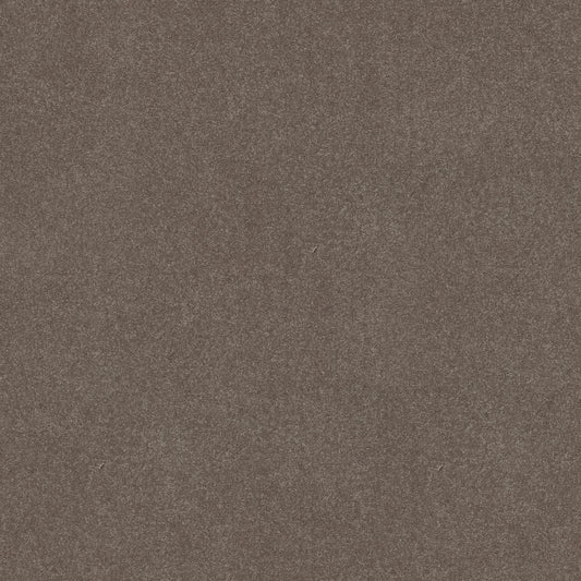 Shaw Floors - Carpet - Simply the Best Values Collection - Solidify III 12' - 12' - Pewter
