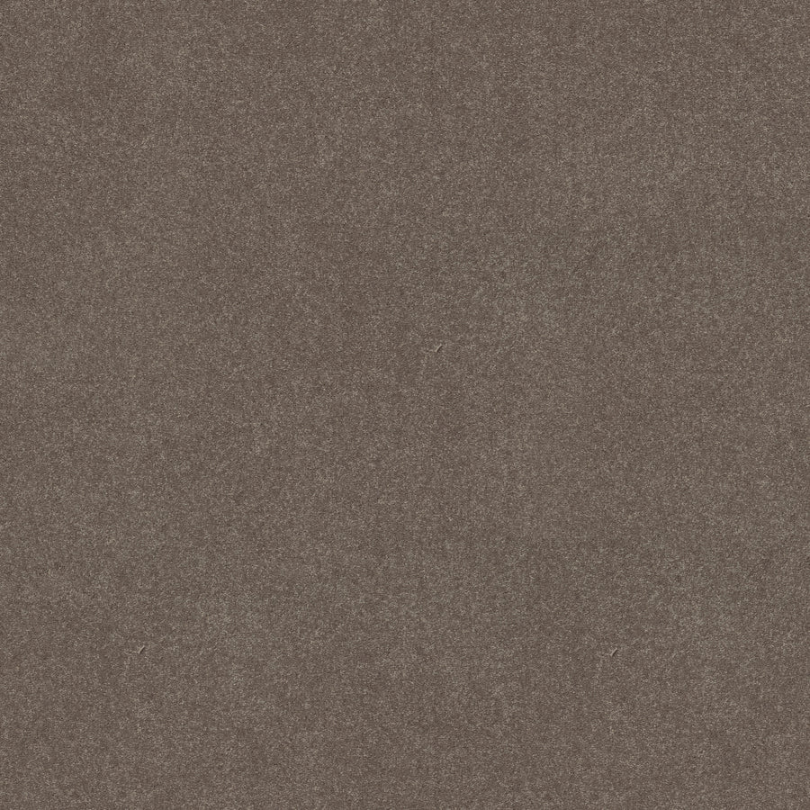 Shaw Floors - Carpet - Simply the Best Values Collection - Solidify III 12' - 12' - Pewter