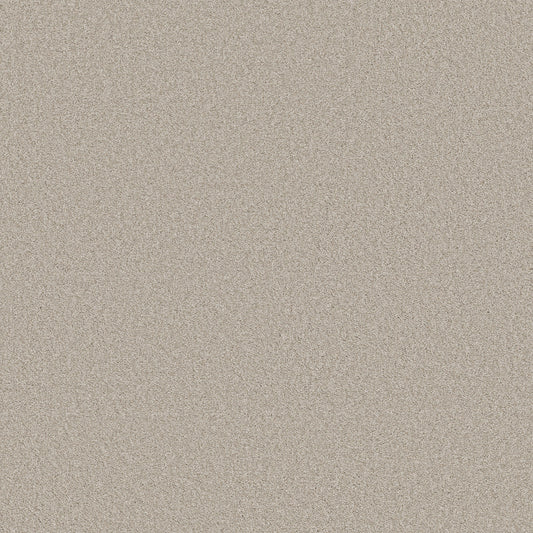 Shaw Floors - Carpet - Classics Collection - Harmonious II - 12' - Split Sediment