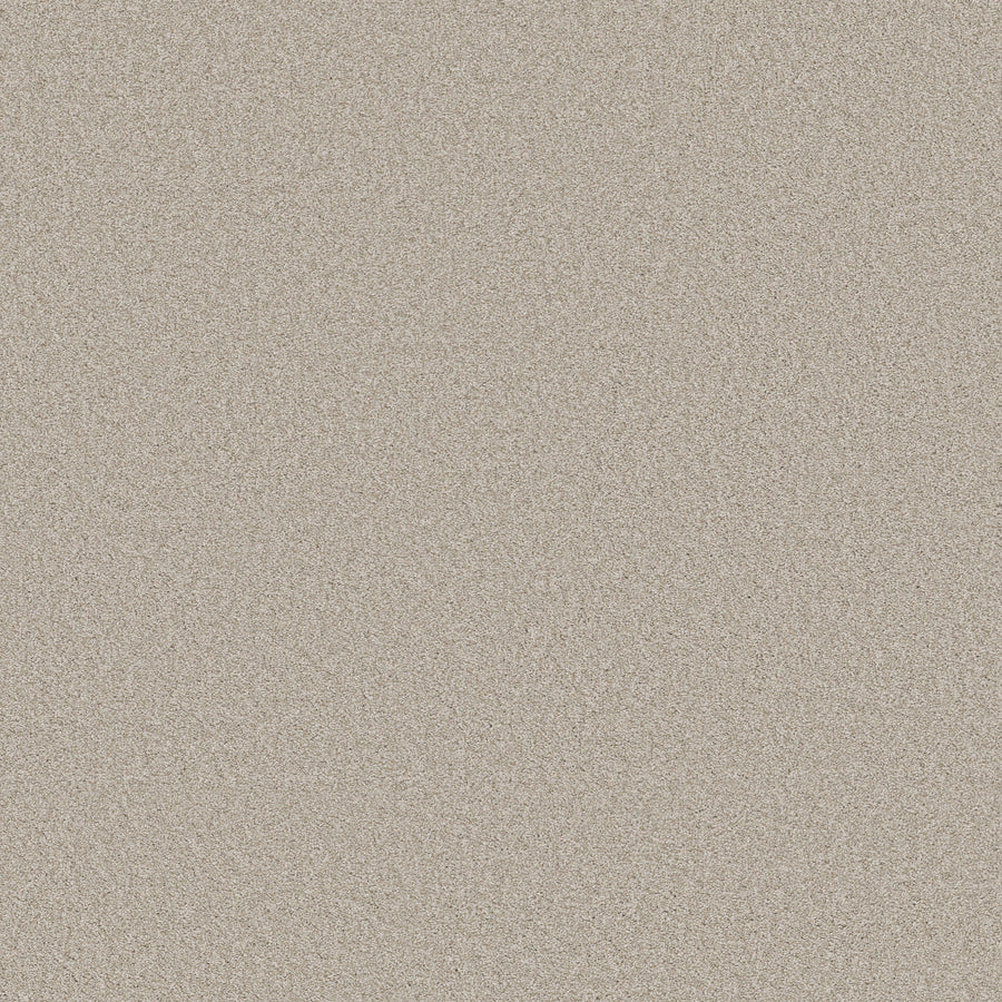 Shaw Floors - Carpet - Classics Collection - Harmonious II - 12' - Split Sediment