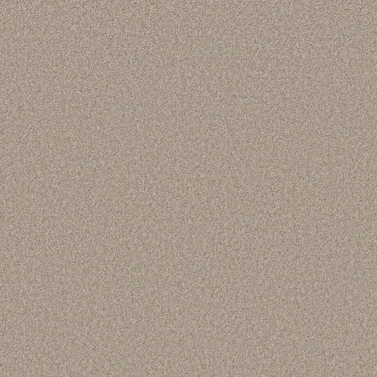 Shaw Floors - Carpet - Classics Collection - Harmonious II - 12' - Fossil Path