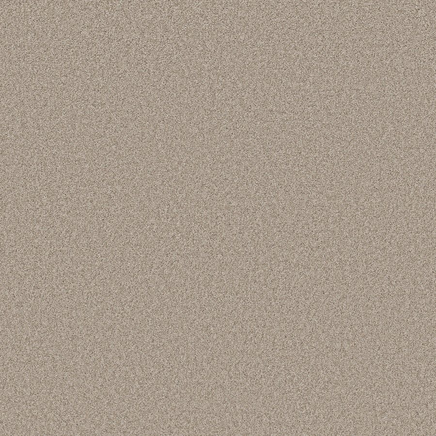 Shaw Floors - Carpet - Classics Collection - Harmonious II - 12' - Fossil Path