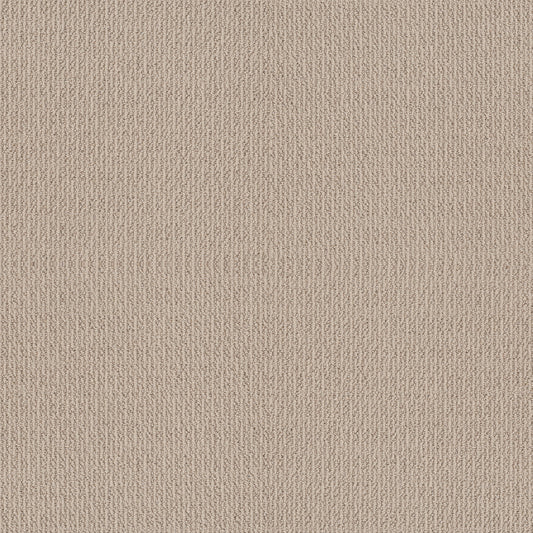 Shaw Floors - Carpet - Simply the Best Values Collection - Iconic Way - 12' - Malibu Dune