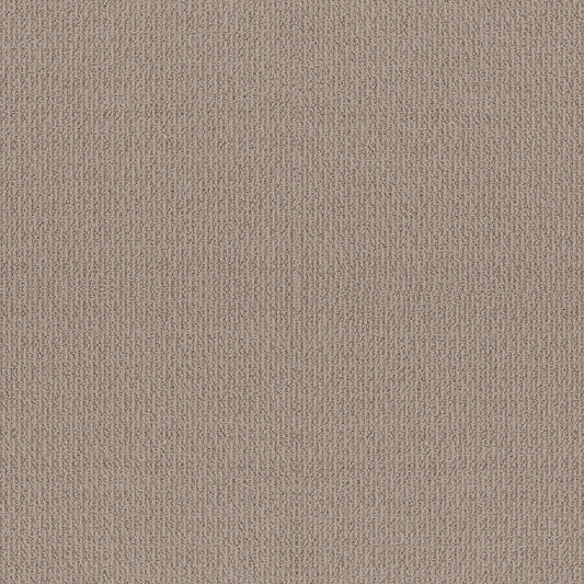 Shaw Floors - Carpet - Simply the Best Values Collection - Iconic Way - 12' - Perfect Taupe