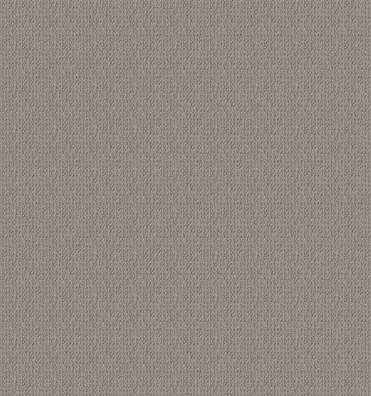 Shaw Floors - Carpet - Simply the Best Values Collection - Iconic Way - 12' - Asteroid