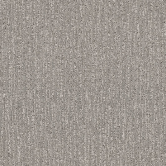 Shaw Floors - Carpet - Simply the Best Values Collection - Nature'S Mark - 12' - Gravity
