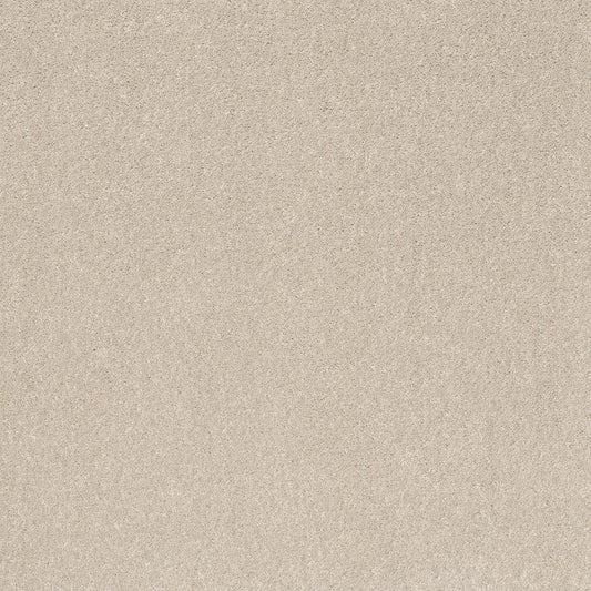 Shaw Floors - Carpet - Simply the Best Values Collection - Smooth Talk II - 12' - Halo