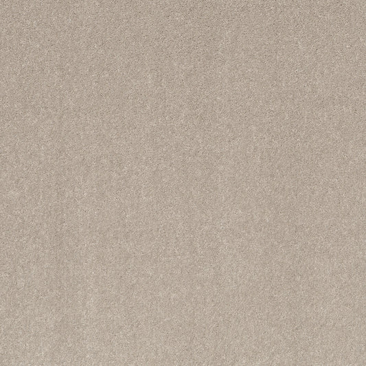 Shaw Floors - Carpet - Simply the Best Values Collection - Smooth Talk II - 12' - Bare Mineral