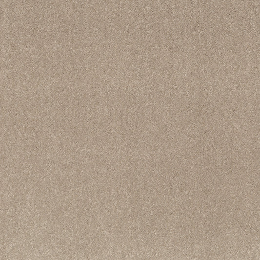 Shaw Floors - Carpet - Simply the Best Values Collection - Smooth Talk II - 12' - Tassel