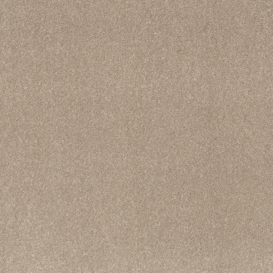 Shaw Floors - Carpet - Simply the Best Values Collection - Smooth Talk II - 12' - Tassel