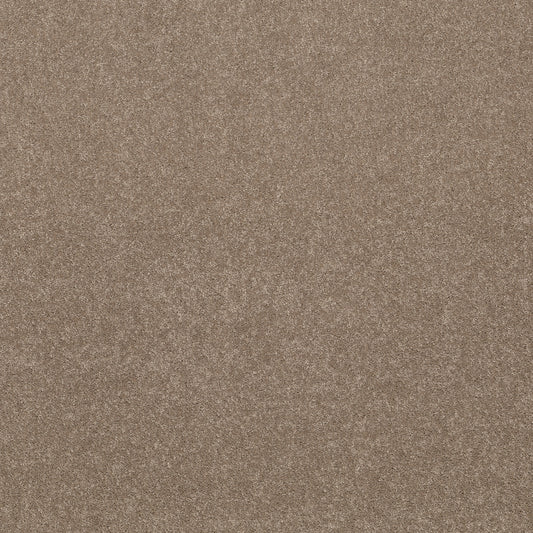 Shaw Floors - Carpet - Simply the Best Values Collection - Smooth Talk II - 12' - Warm Wood