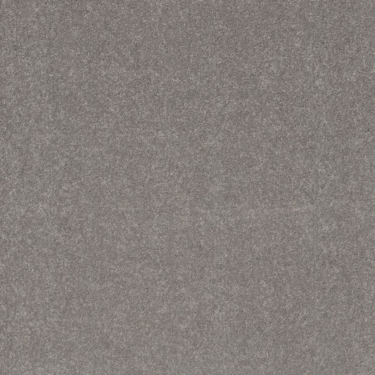 Shaw Floors - Carpet - Simply the Best Values Collection - Smooth Talk II - 12' - Ink Spot