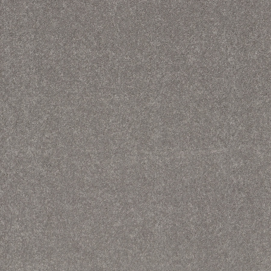 Shaw Floors - Carpet - Simply the Best Values Collection - Smooth Talk II - 12' - Ink Spot