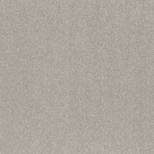 Shaw Floors - Carpet - Simply the Best Values Collection - Smooth Talk II - 12' - Silver Mist