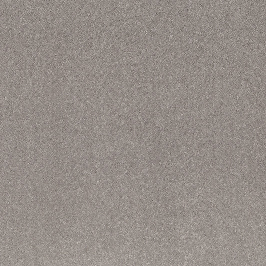 Shaw Floors - Carpet - Simply the Best Values Collection - Smooth Talk II - 12' - Mystic Heather
