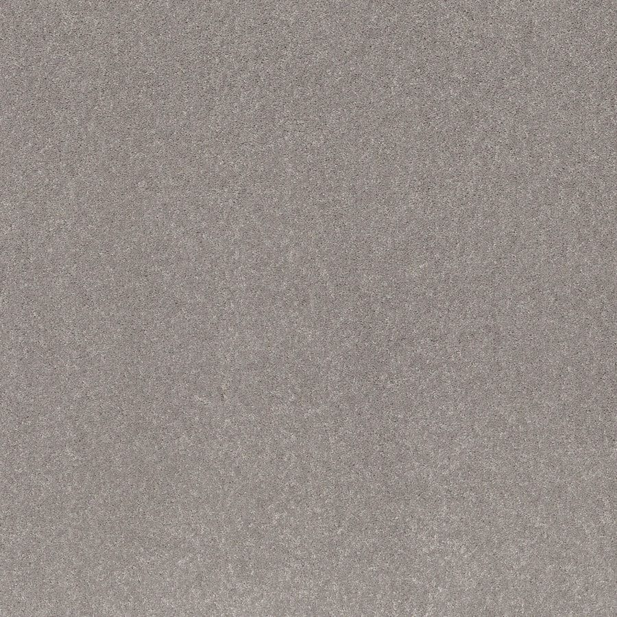Shaw Floors - Carpet - Simply the Best Values Collection - Smooth Talk II - 12' - Mystic Heather