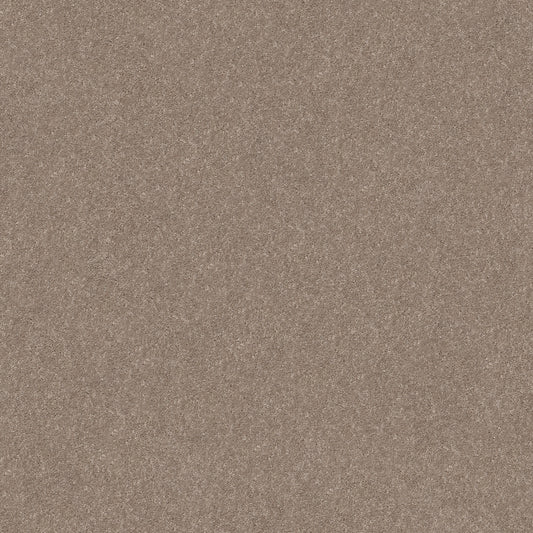 Shaw Floors - Carpet - Simply the Best Values Collection - Smooth Talk II - 12' - Buffington