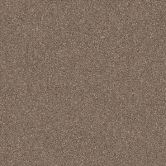 Shaw Floors - Carpet - Simply the Best Values Collection - Smooth Talk II - 12' - Cedar Key