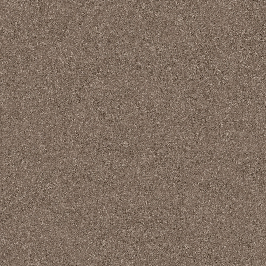 Shaw Floors - Carpet - Simply the Best Values Collection - Smooth Talk II - 12' - Cedar Key