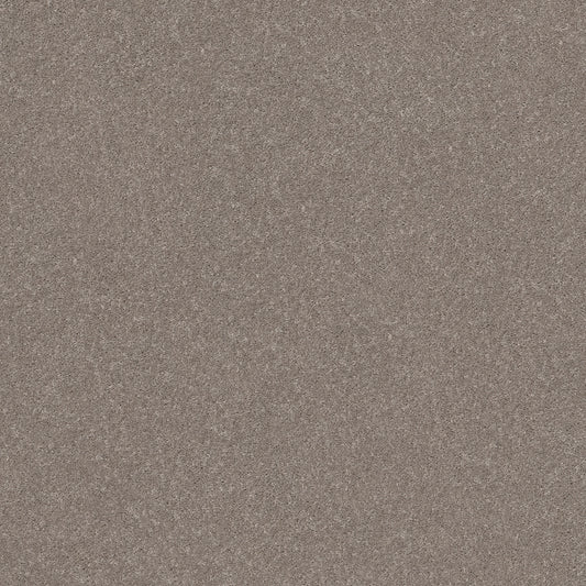 Shaw Floors - Carpet - Simply the Best Values Collection - Smooth Talk II - 12' - Anew Grey