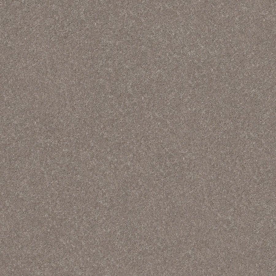 Shaw Floors - Carpet - Simply the Best Values Collection - Smooth Talk II - 12' - Anew Grey