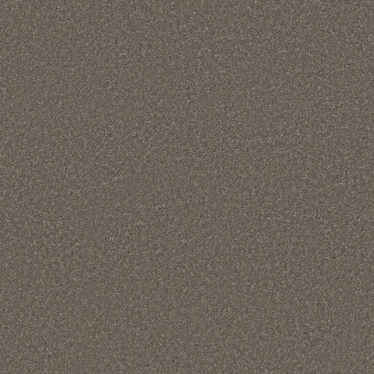 Shaw Floors - Carpet - Simply the Best Values Collection - Smooth Talk II - 12' - Urban Taupe