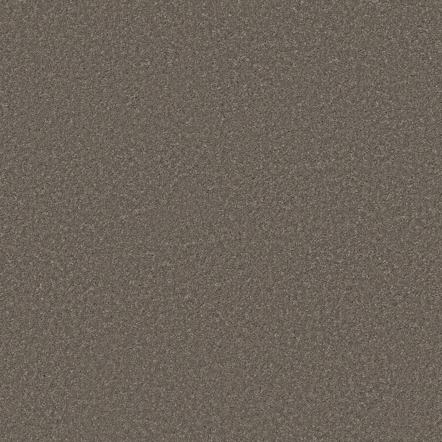 Shaw Floors - Carpet - Simply the Best Values Collection - Smooth Talk II - 12' - Urban Taupe